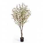 Cherry Blossom - Kersen bloesem creme170cm